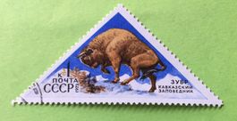 Briefmarken aus Sowjetunion (CCCP) gestempelt 