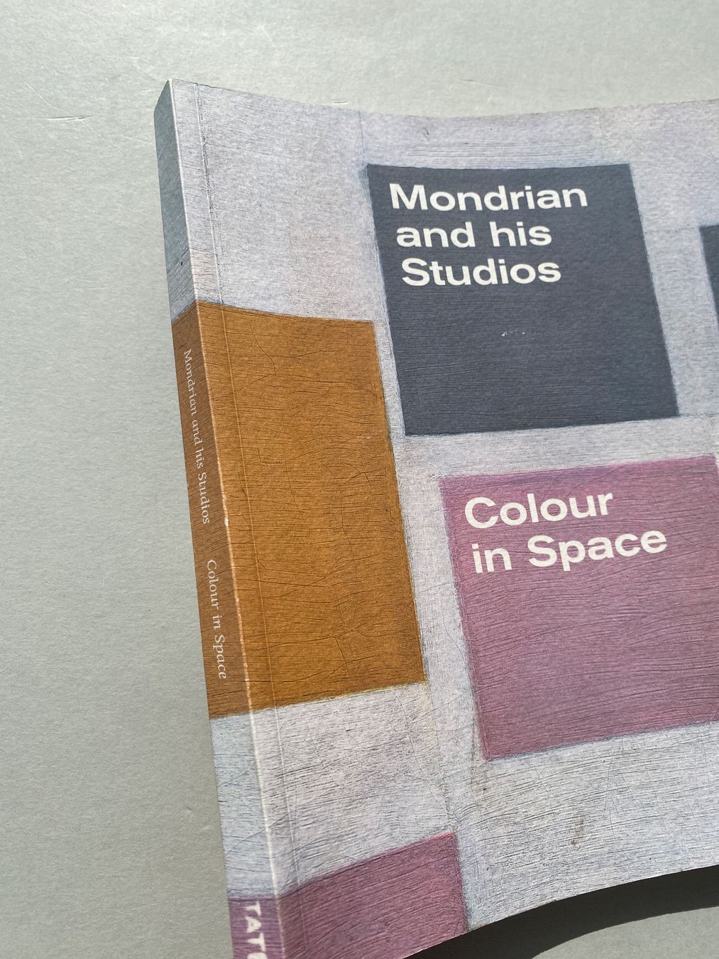 Libri: Mondrian and His Studios: Colour in Space Art Book. – Usato da Zürich venduto da lesgarcons 6