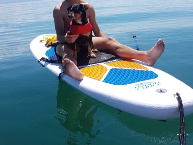 Mundhalterung Für Actioncam - Wassersport Mount Mit Schwimmer & Sicherheitsleine