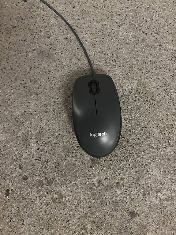 Souris: Logitech maus – D'occasion à Zürich par enf_2kqn