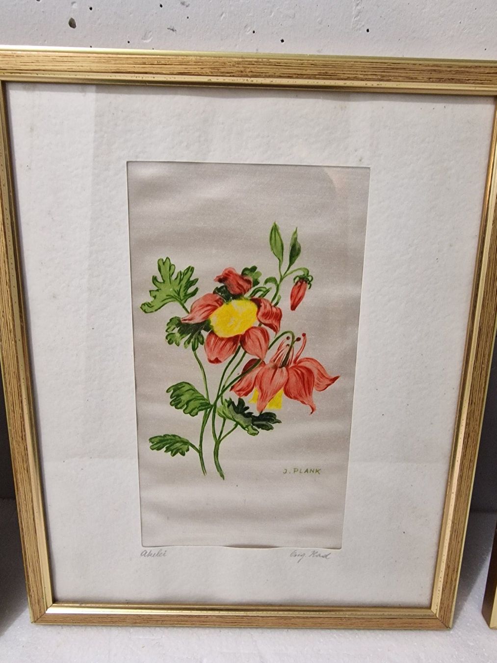 Foto & Immagini: 3er Set gerahmte Blumenbilder, Kunstdrucke, Top Zustand – Usato da Wettingen venduto da maren2 3