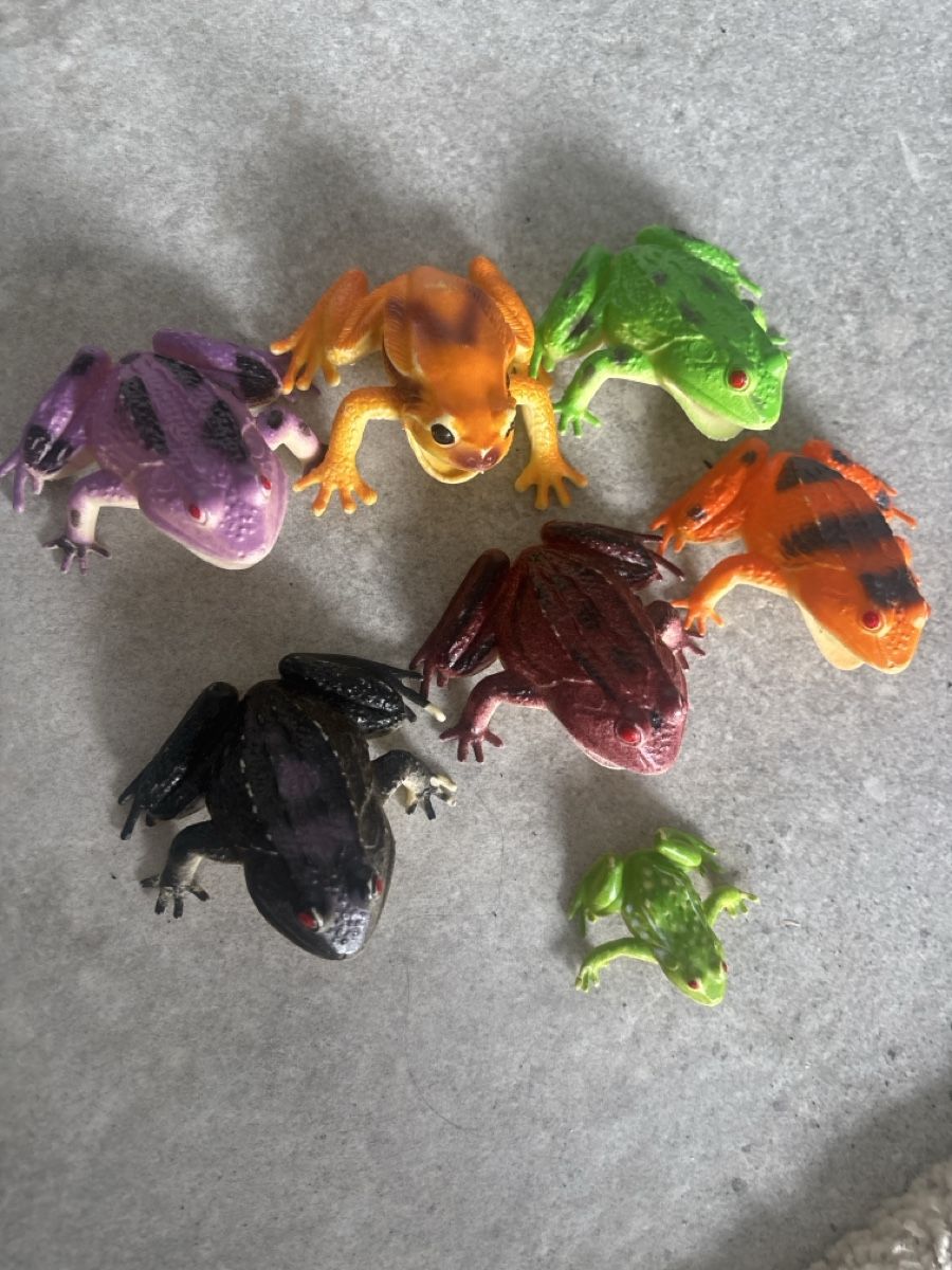 Giocattoli: Set of 7 Plastic Frogs – Usato da Biel-Benken BL venduto da ste_86wx 2