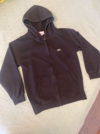 Lacoste Puli Gr. 168