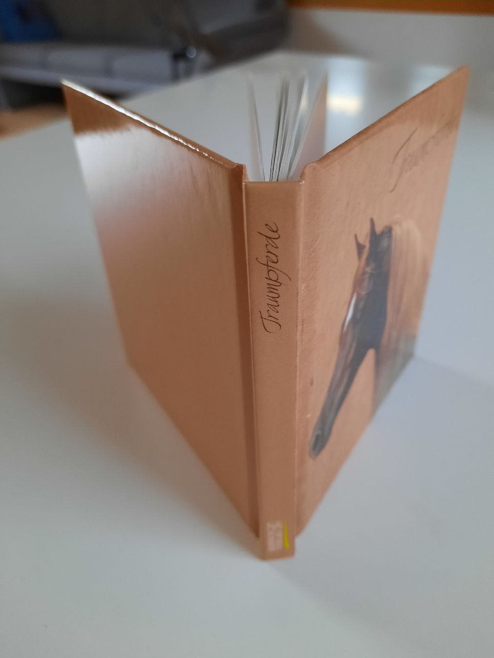 Libri: kleines Büchli Traumpferde – Nuovo (secondo la descrizione) da Nottwil venduto da mar_jqm7 1