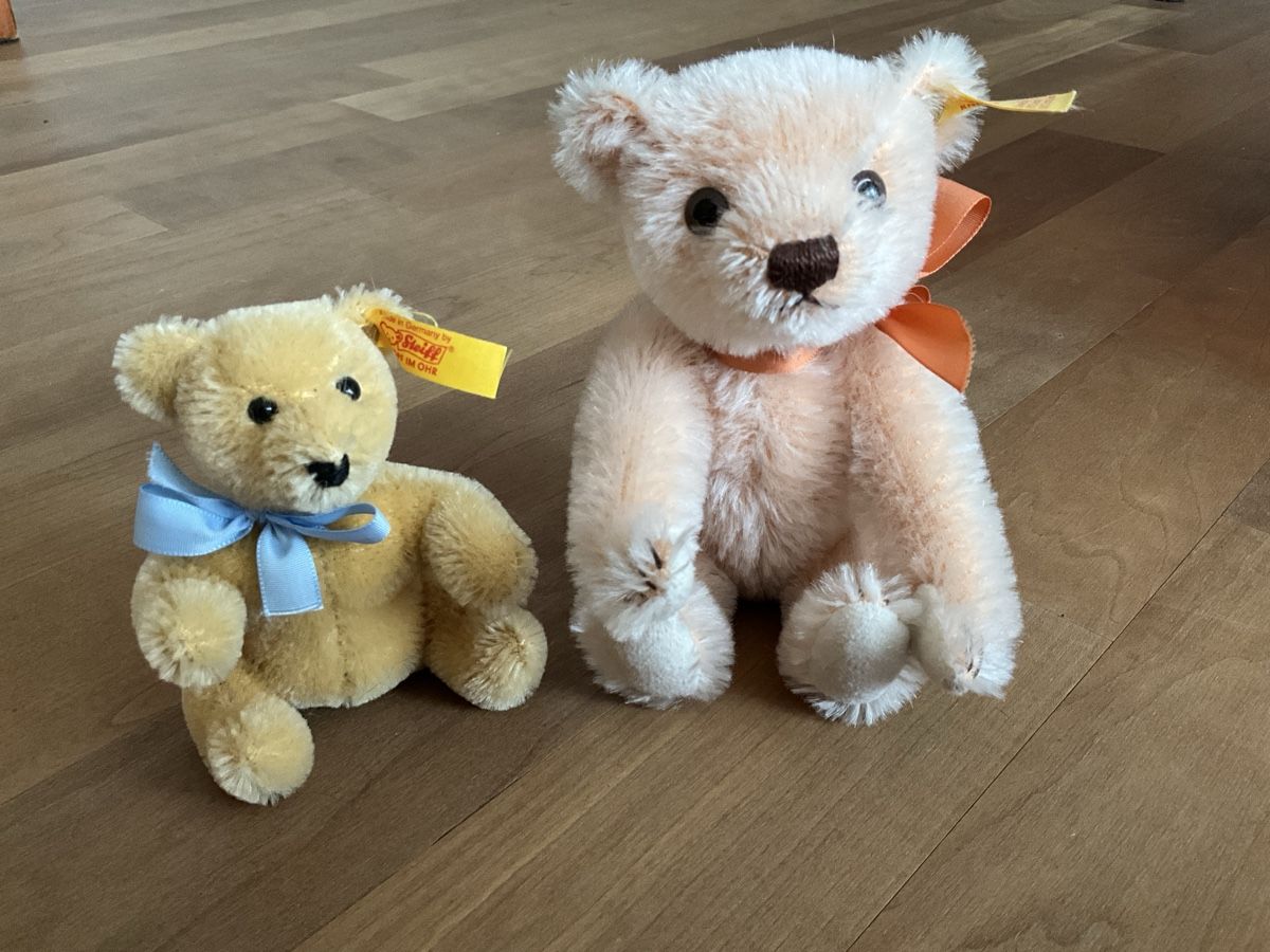 Steiff Giocattoli: 2 Steiff Teddybären – Nuovo (secondo la descrizione) da Schmitten FR venduto da Chili58 6
