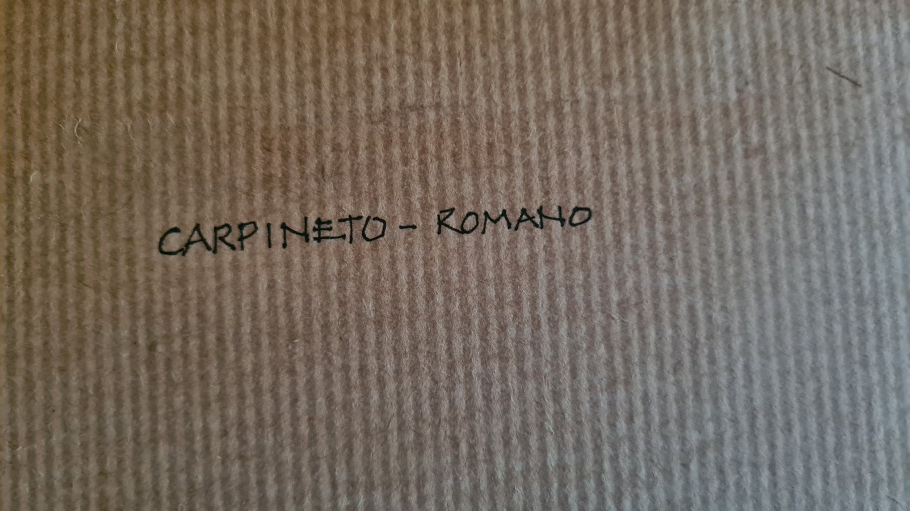 Dipinti: 2 Aquarelle "Carpineto-Romano" signiert – Usato da Frauenfeld venduto da Purzli 8