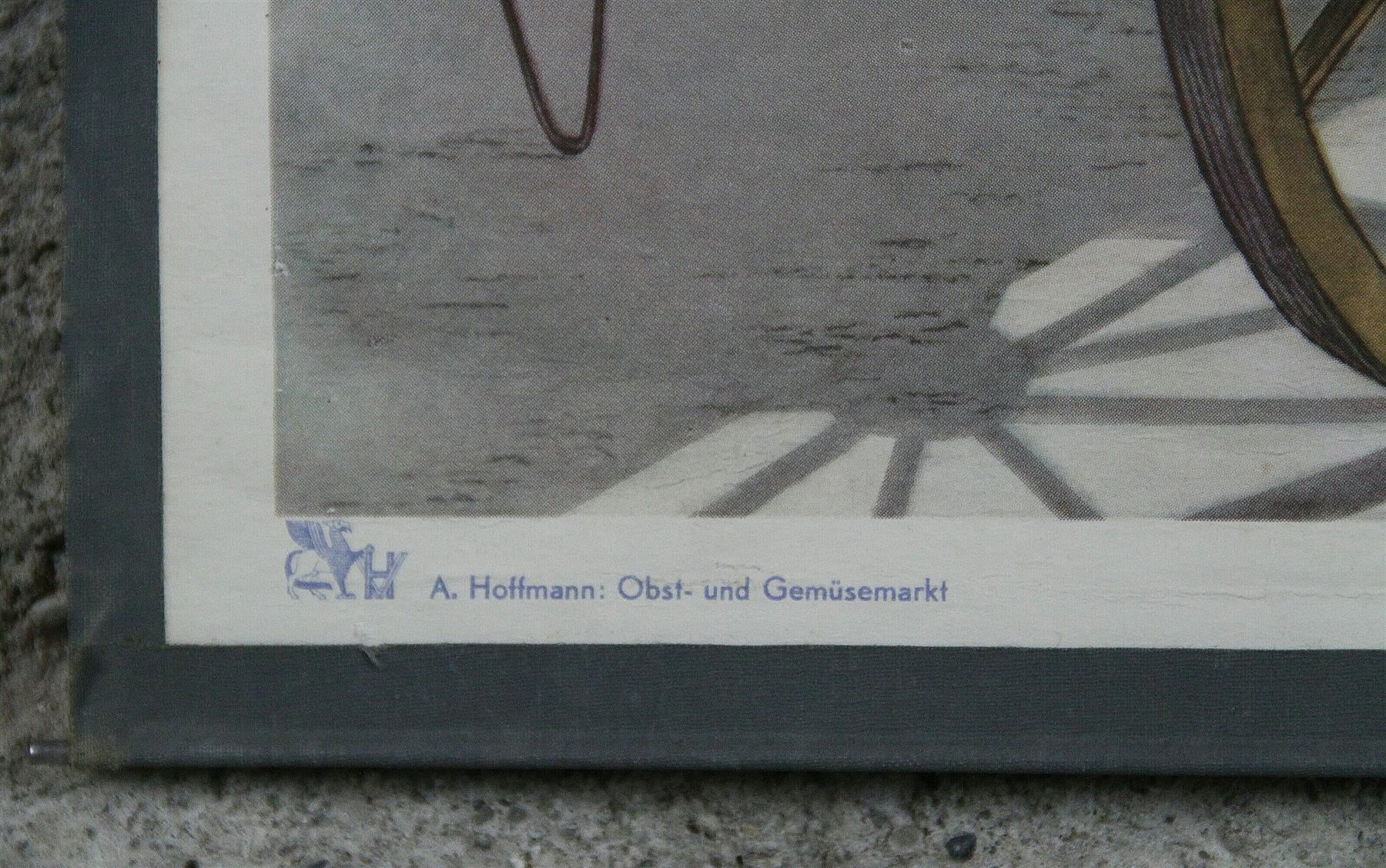 Foto & Immagini: Schulwandbild "Obst- und Gemüsemarkt" – Usato da Birrwil venduto da brandschatz_birrwil 5
