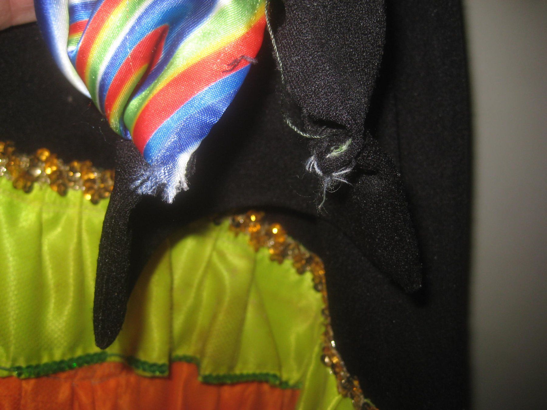 Kostüme: FASNACHT    KLEID – Gebraucht aus Uster von flocke1 3