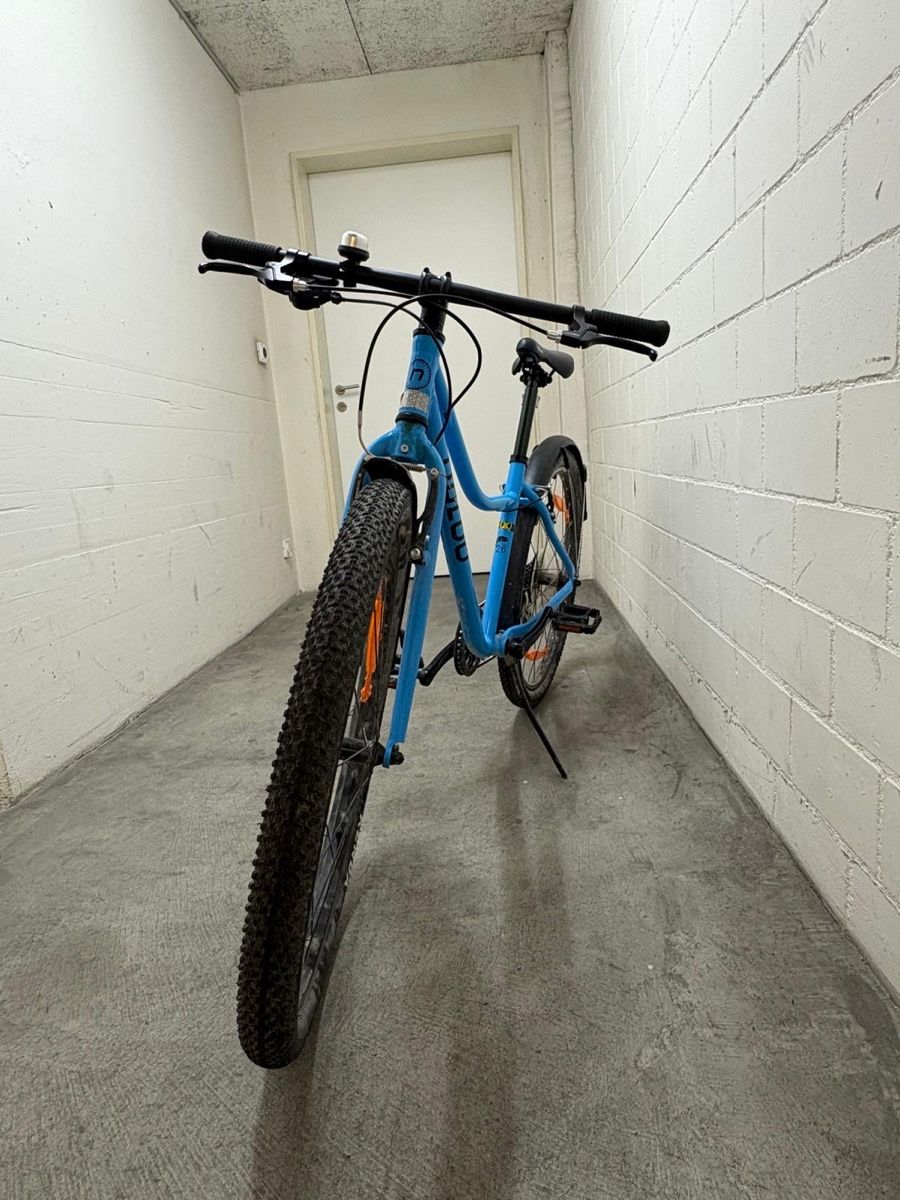 Naloo Velos: Naloo 26 Zoll – Gebraucht aus Zürich von stellina222 2