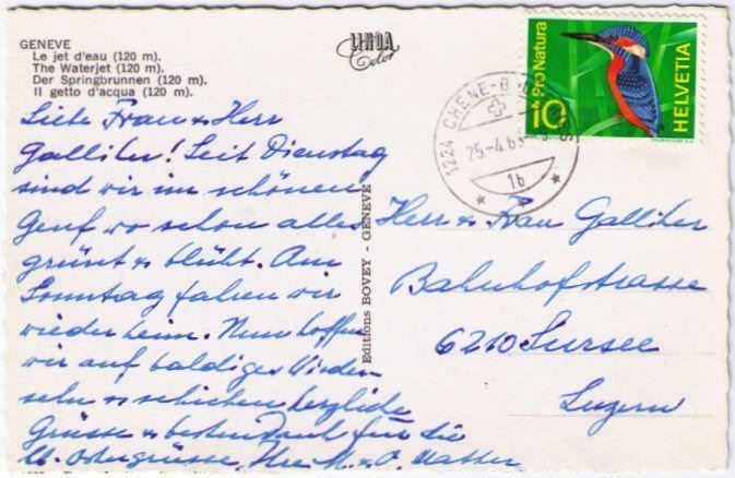 Cartoline postali: Genf / Genève - Jet d'eau – Usato da Binningen venduto da Mountainrider 1