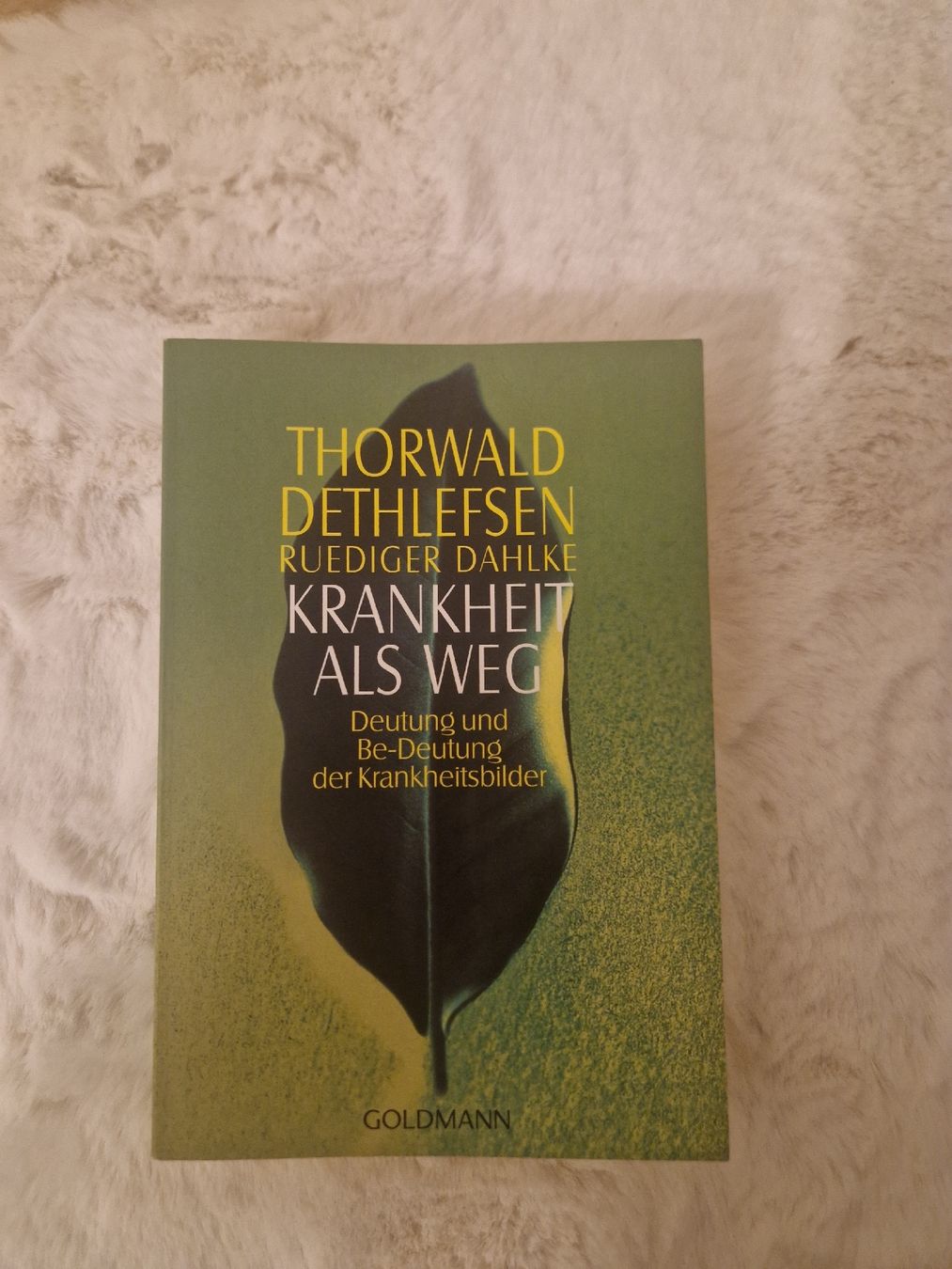 Libri: Krankheit als Weg - Dethlefsen/Dahlke – Usato da Benken venduto da Carmen_9