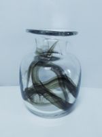 Tundra Glass Vase by Michael Bang, 1970's