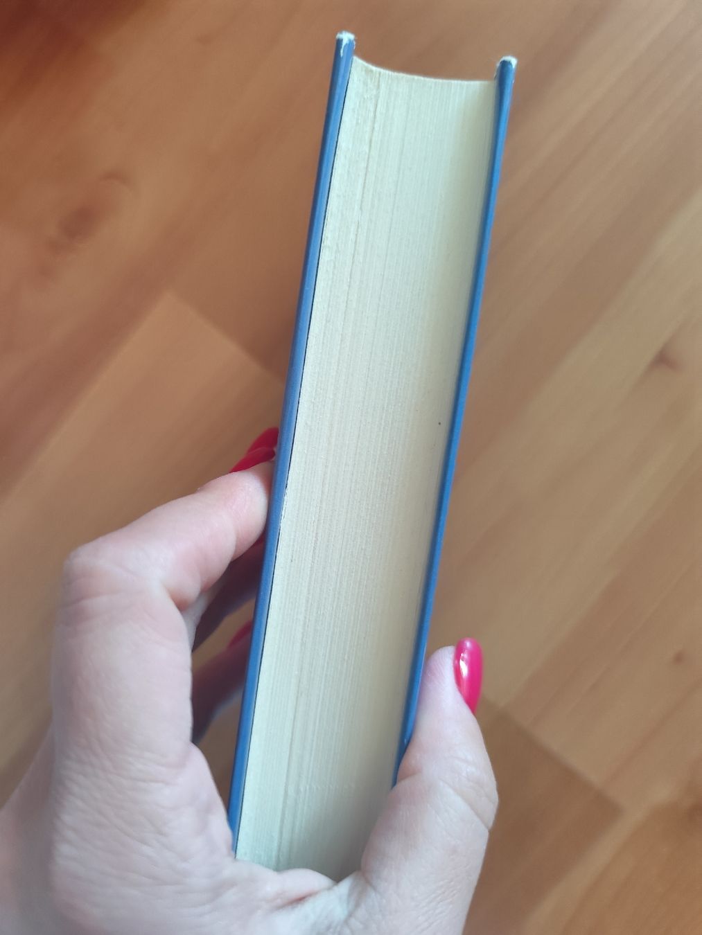 Livres: Buch Der Steppenwolf Hermann Hesse – D'occasion à Mägenwil par VintageGirly 2