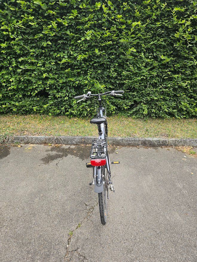 Canyon Biciclette: Zu Verkaufen – Usato da Embrach venduto da dol-polaris 3