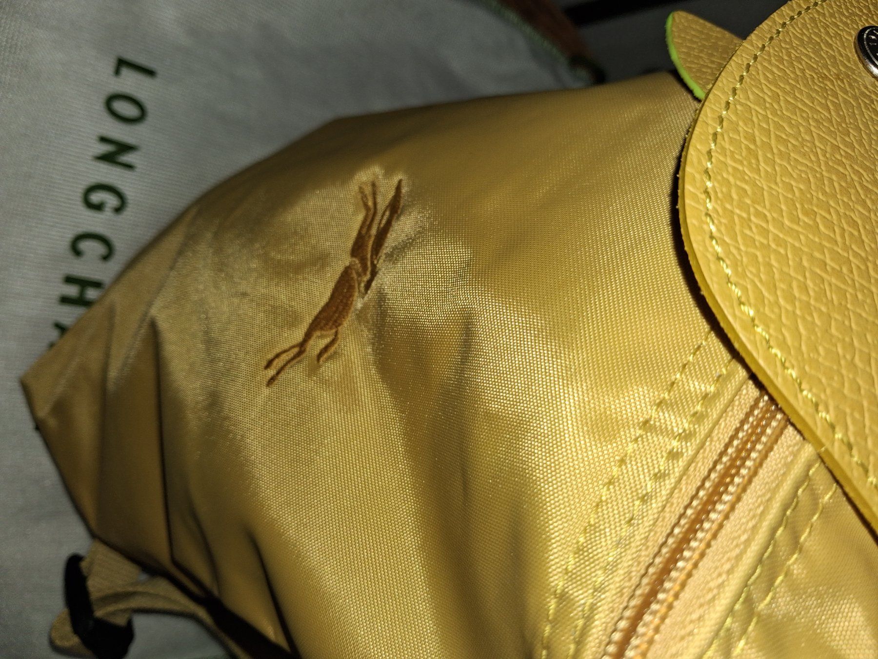 Longchamp Zaini: Longchamp Rücksack – Usato da Wetzikon ZH venduto da med_2y76 1