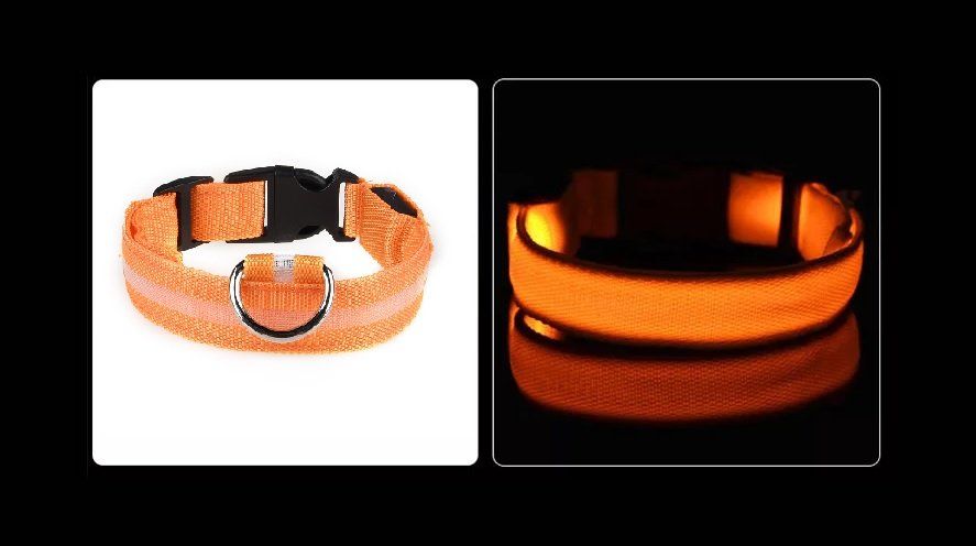 Leine & Halsband: LED Hunde Leuchthalsband - Grösse S in Orange – Neu und originalverpackt aus Werdenberg von EXA-Animal-World 1