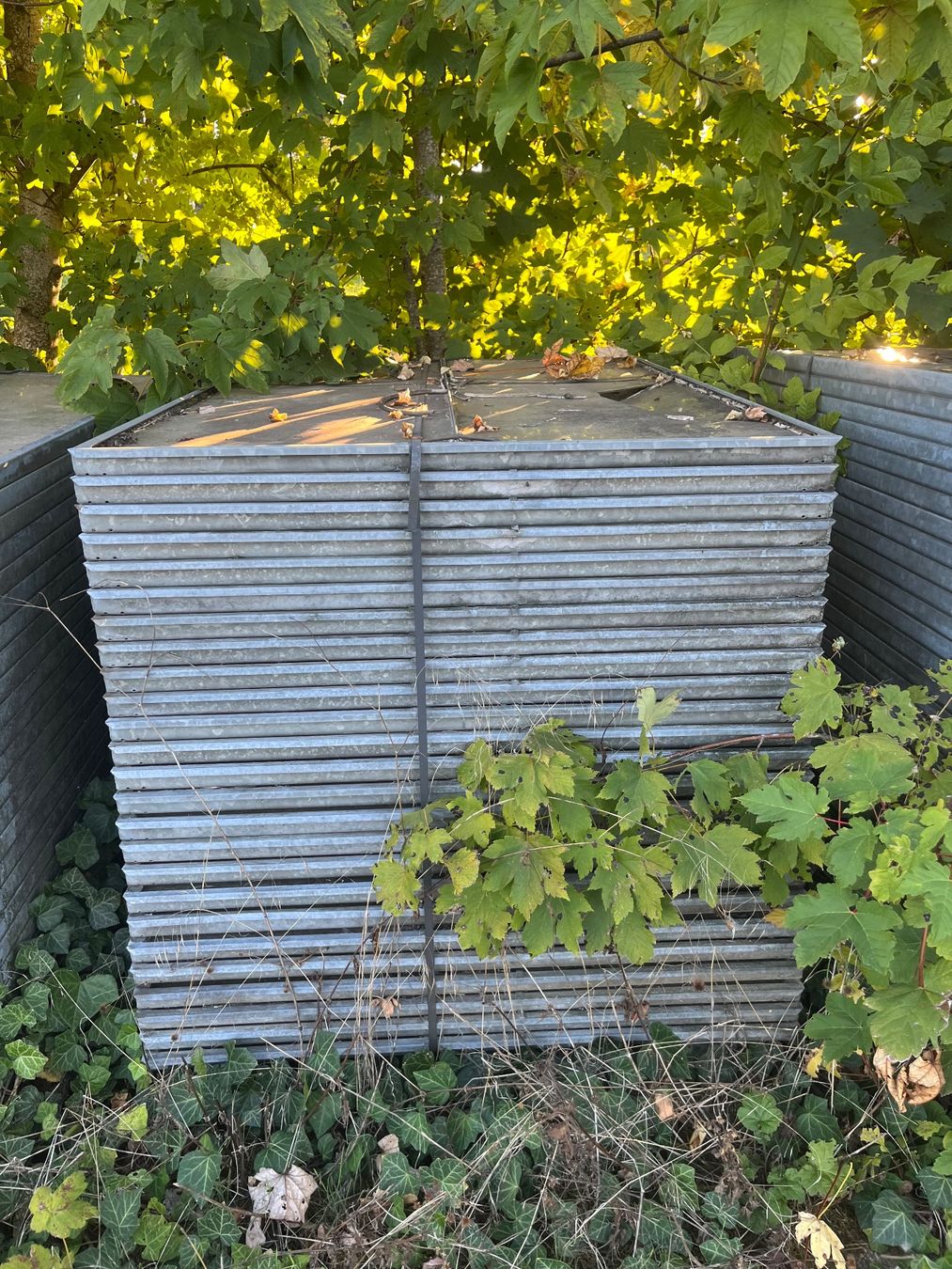 Fenêtres: Treibhaus-Fenster – D'occasion à Hägglingen par sch_n5lb