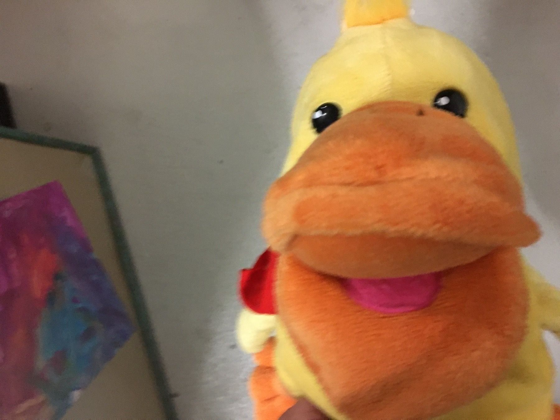 Giocattoli: Peluche canard – Usato da La Tour-de-Peilz venduto da zazen33 2