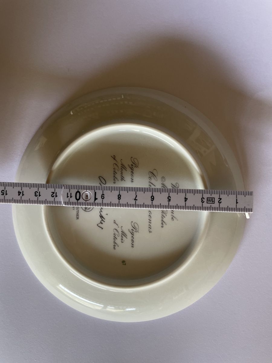 Hutschenreuther Piatti: Rosenthal Monats-Teller Oktober,D:16 – Usato da Schaffhausen venduto da Kolibri023 2