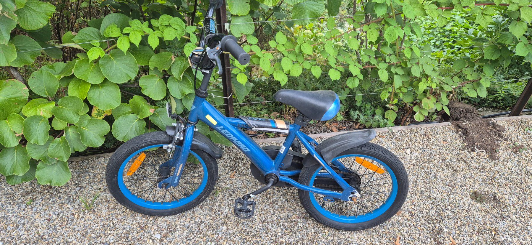 Leopard Vélos: Leopard Kinder Velo – D'occasion à Zürich par Physicroger