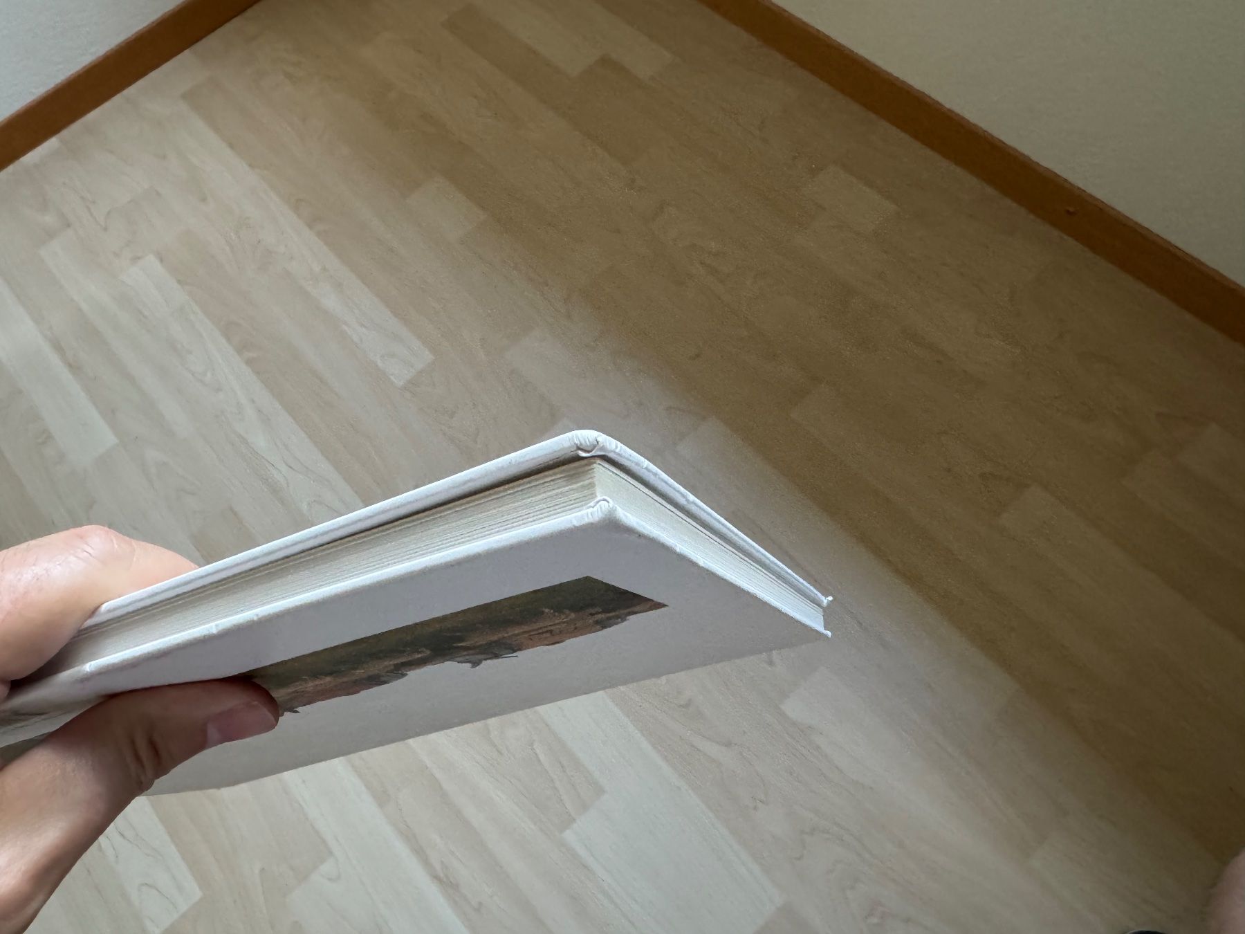 Libri: Winterweide von Peter Bergmann – Usato da Bäriswil BE venduto da der_salat 3