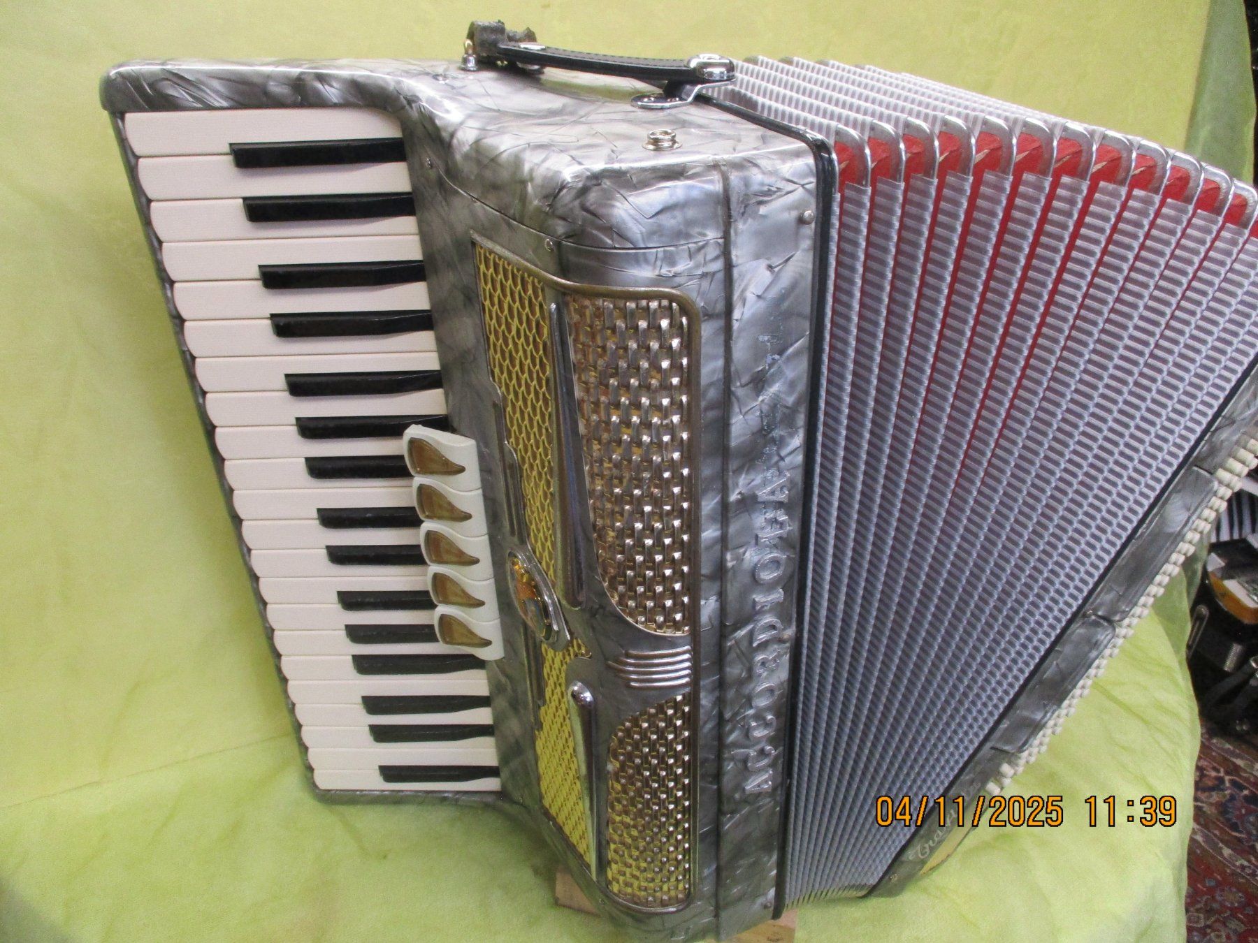 Strumenti musicali: Akkordeon Accordiola Camerano – Usato da Jegenstorf venduto da Oktavio 2