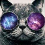 Profile image of Liam_2909