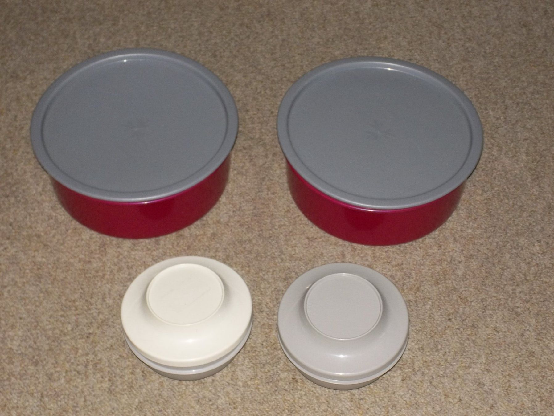 Tupperware Contenitori & Simili: Tupperware Guetzli Behälter / Box – Usato da Kaltbrunn venduto da Cindy99