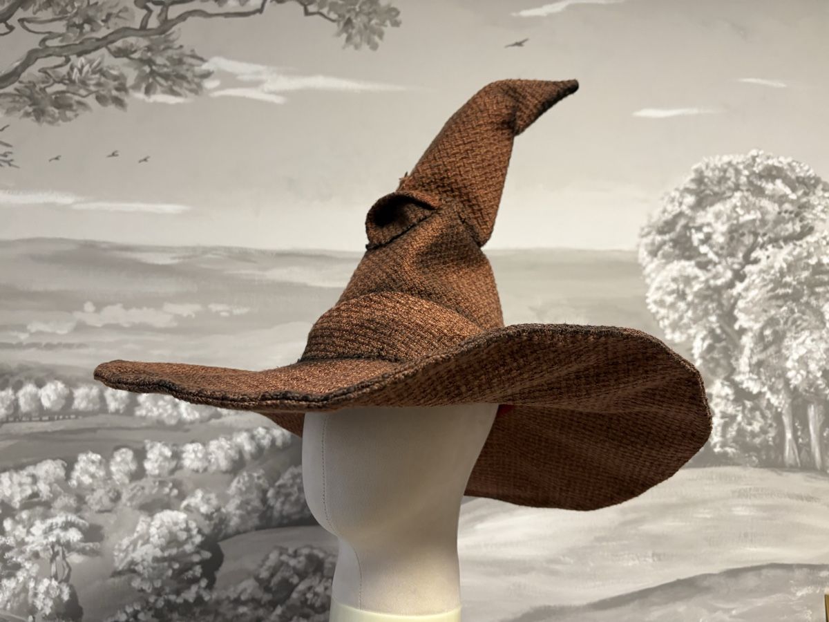 Chapeaux, bonnets & casquettes: Hexenhut braun – Neuf avec emballage d'origine à Oensingen par Chicotus