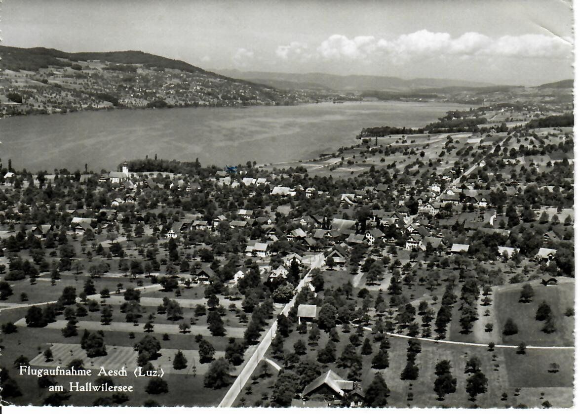 Cartoline postali: Flugaufnahme Aesch LU 1959 – Usato da Hochdorf venduto da Ziegel-16