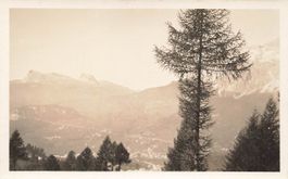 Alpen panorama