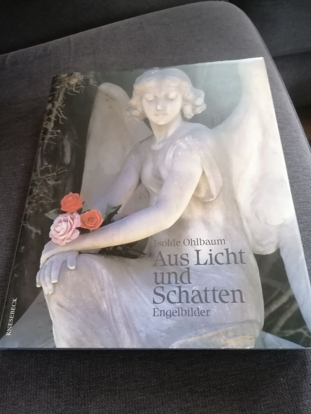 Libri: Aus Licht und Schatten Engel Bilder von Isolde Ohlbaum  – Usato da Brittnau venduto da Elefant7