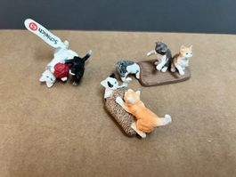 Schleich junge Katzen Kätzchen Katze