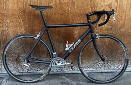Rennvelo Principia Ellipse SX, Gr. 56, Campagnolo, King