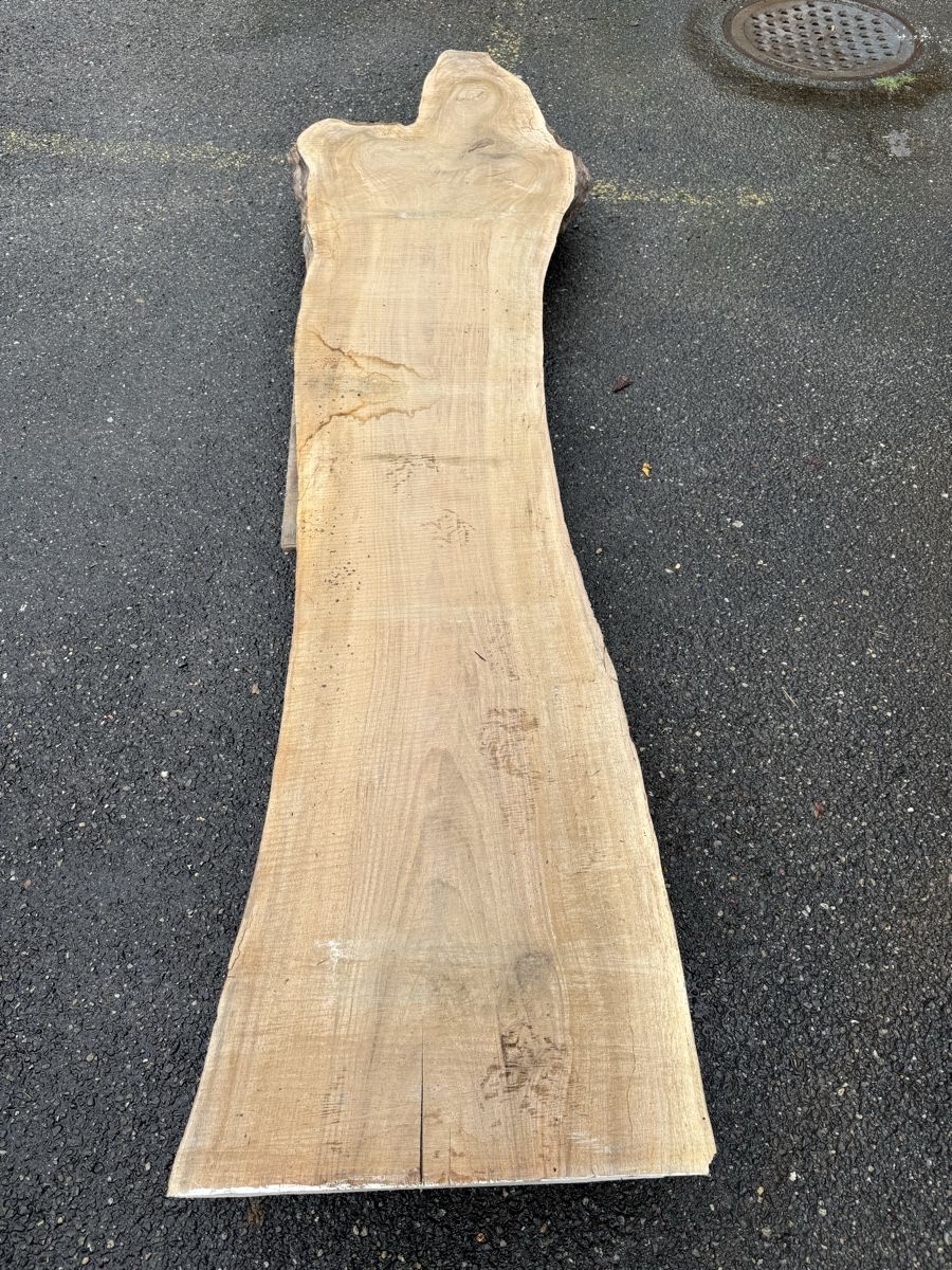 Articoli in legno: Nussbaum Klotzbrett 280  cm lang! – Usato da Gränichen venduto da onkel_xxl