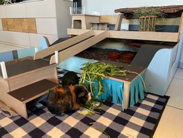 Solider Meerschweinchen-Eigenbau aus 1. Hand