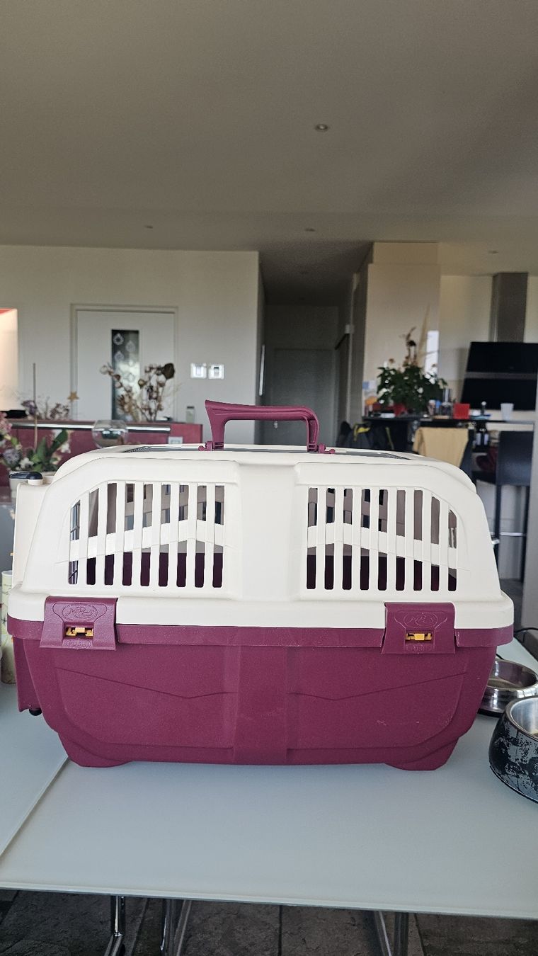 Käfige, Transport & Sicherheit: cage transport chat/animaux  – Gebraucht aus Nax von mojy 1
