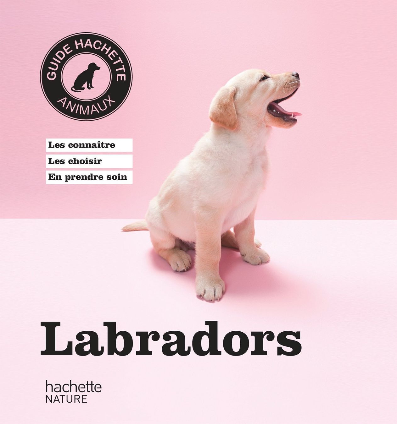Libri: Labradors – Usato da Neuchâtel venduto da Dualseele