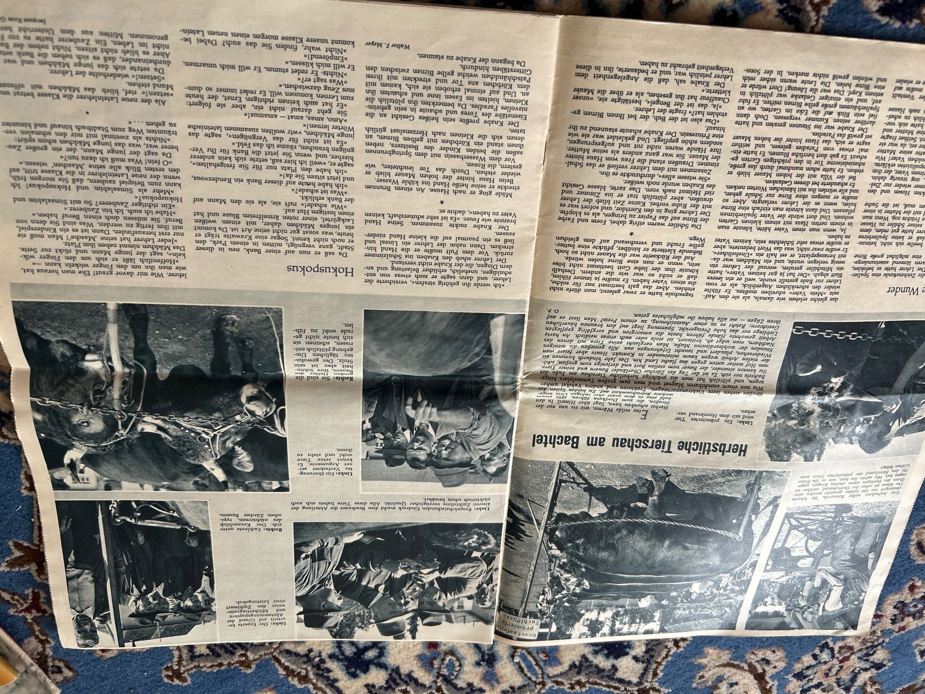 Zeitschriften & Magazine: Schweizer Familie 27.9.1958 – Gebraucht aus Champfèr von Rothli 2