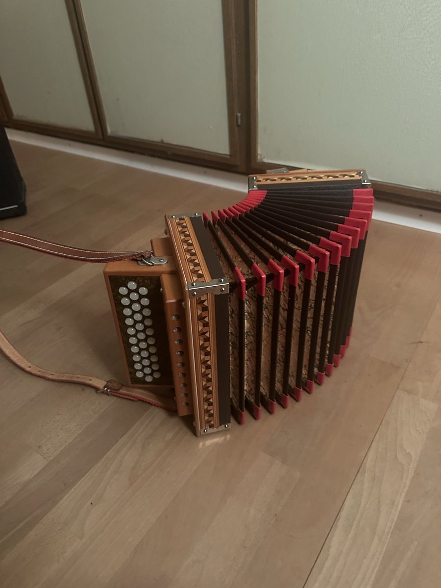 Strumenti musicali: Zanin Örgeli – Usato da Langenthal venduto da d_Alasser
