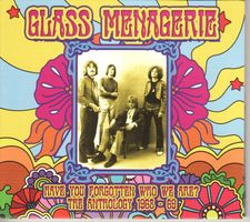 The Glass Menagerie ‎– Have You Forgotten Who We Are? The An