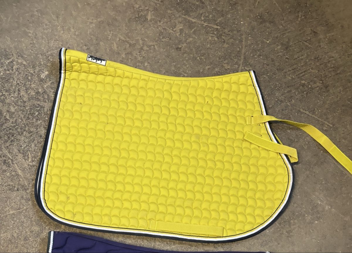 Eskadron Coperte: Schabrake, Eskadron, Springen, dark lime – Usato da Möhlin venduto da Muehlfni