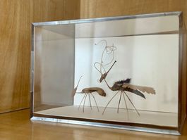 Olivia Etter Etterlinge 2012 signiert Objektkunst