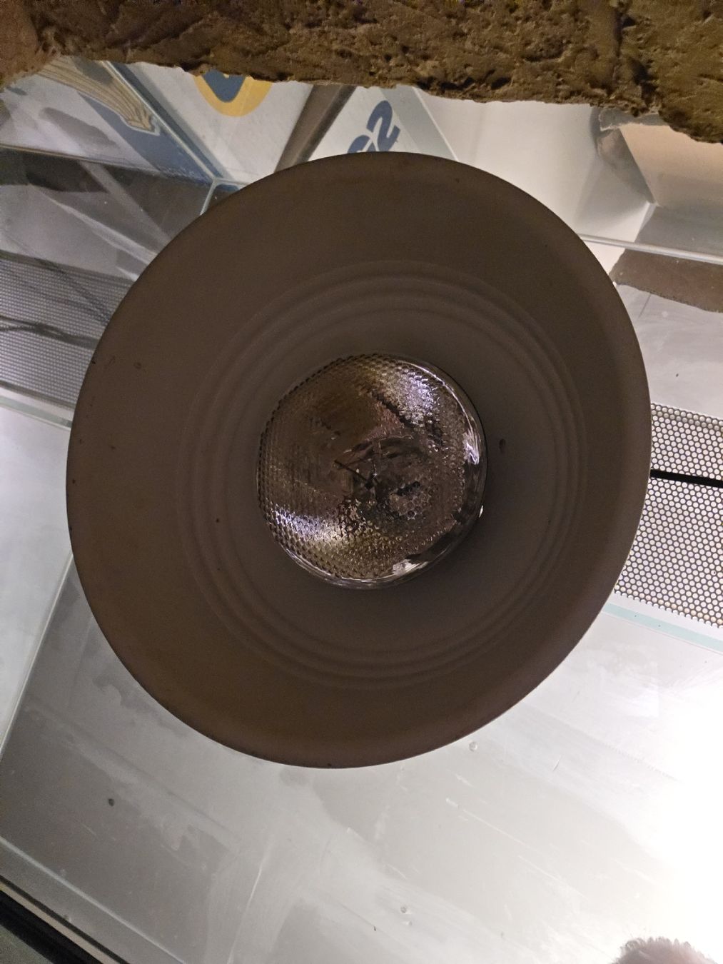 Terrario: Terrarium – Usato da Freienwil venduto da Columbo86 7