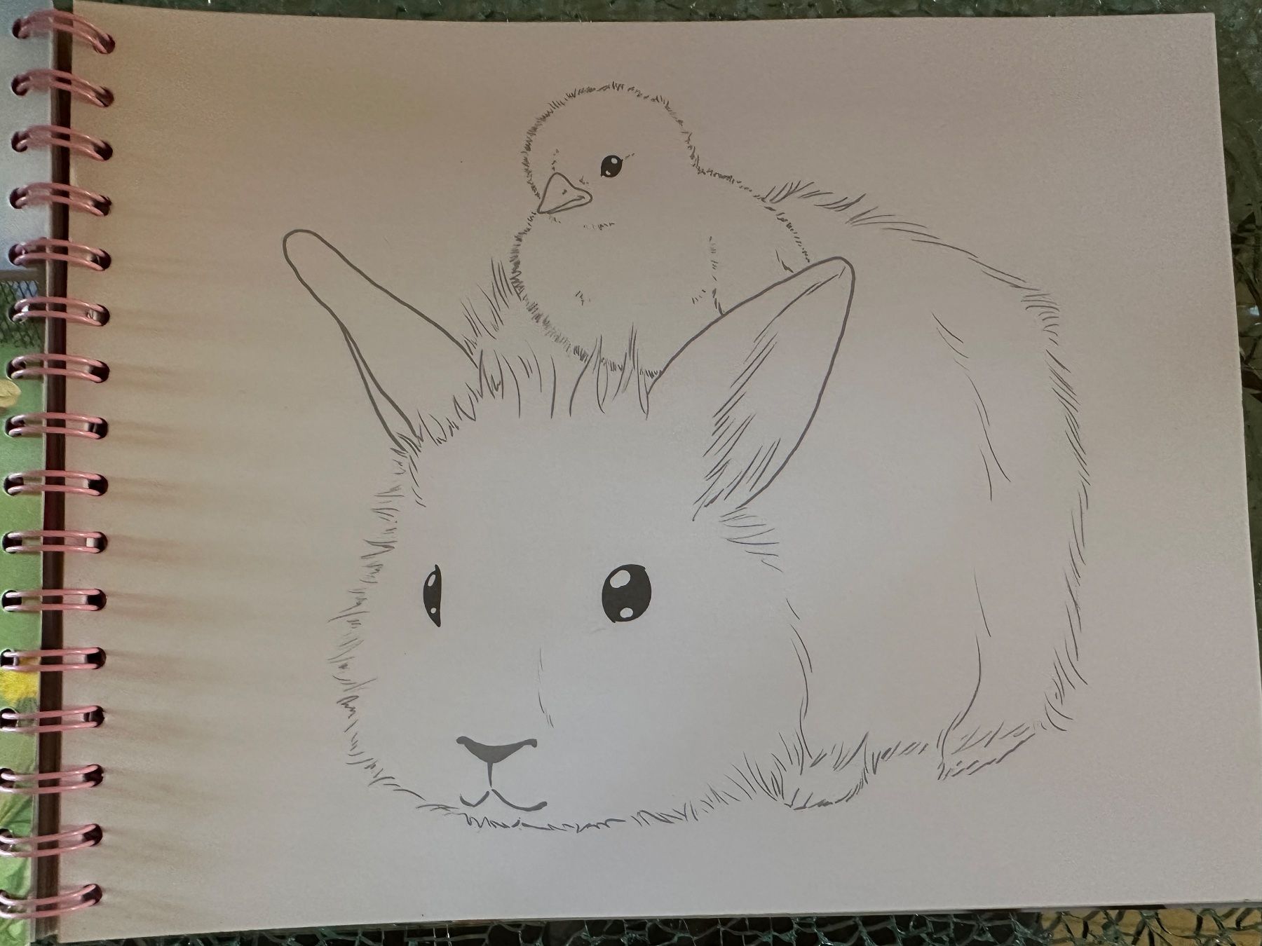Bücher: Creative Studio Animal Love Zeichnungsheft – Gebraucht aus Riedt b. Erlen von sina.aline 7
