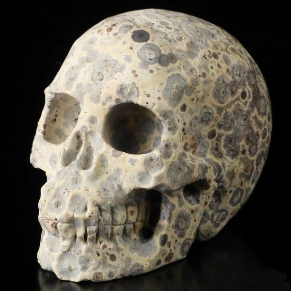Minerali & Pietre curative: Asteroiden Jaspis Skull – Nuovo (secondo la descrizione) da Walenstadt venduto da vkt_qc8d