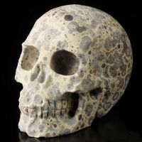 Asteroiden Jaspis Skull
