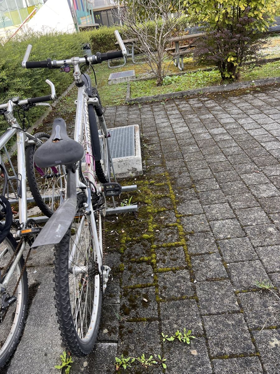 Raleigh Biciclette: Mountainbike Raleigh – Usato da Uster venduto da NElsner 2