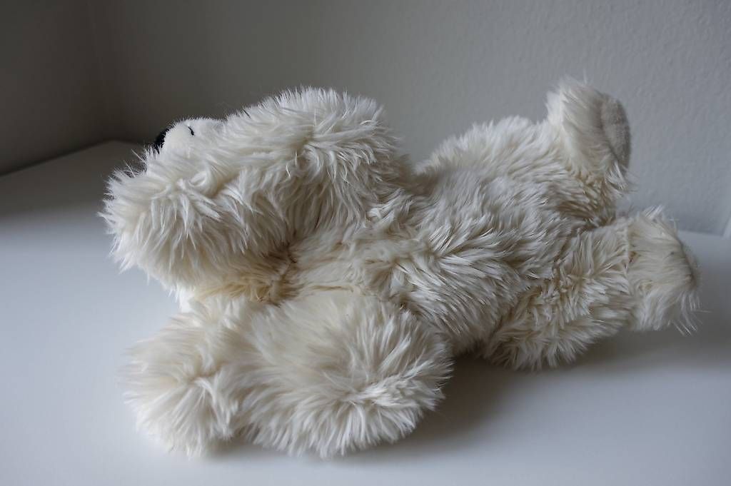 Jouets: Jolie peluche ours blanc – D'occasion à Neuchâtel par p_b_vdv7 2