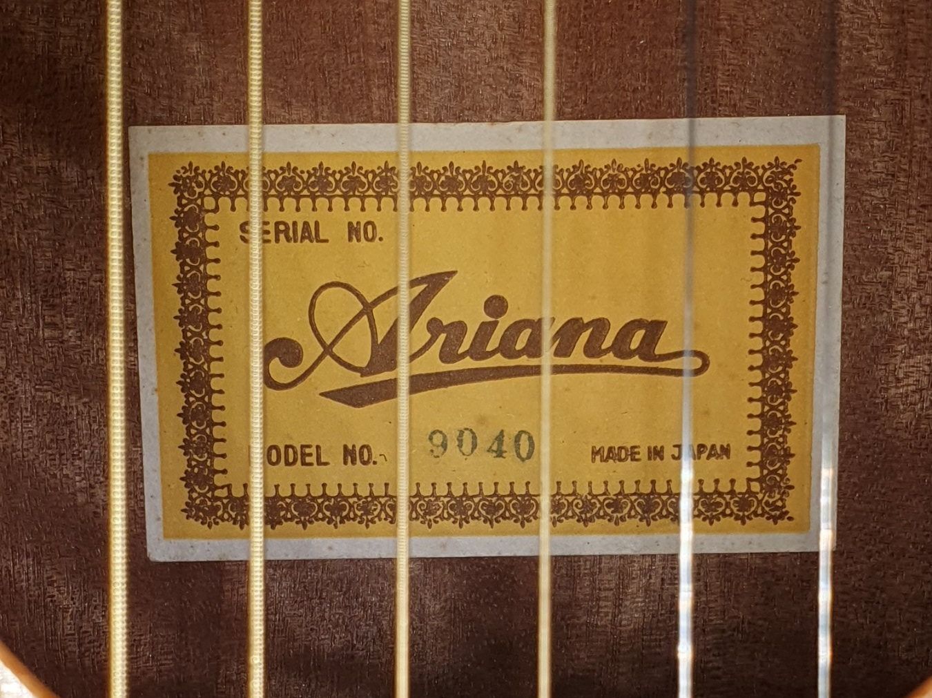 Strumenti musicali: Western Gitarre Ariana 9040 – Usato da Winterthur venduto da NorrSydGuitars 9